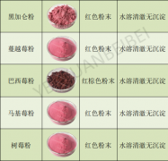 行业精选量大价优各种食品级果蔬粉、植物提取物，原料源头厂家，