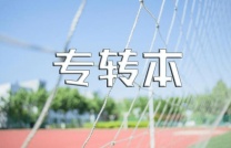 江苏苏州五年制专转本专业课该用什么方法去学